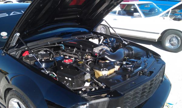 At a car show.