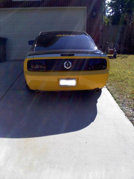 back view