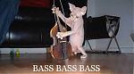 BASS!