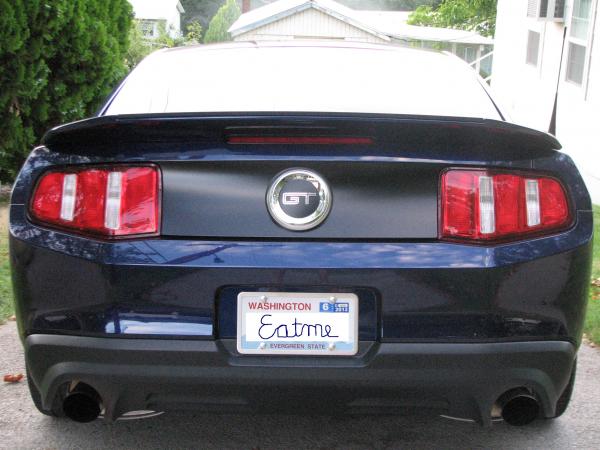 Black in Back...shot w/satin to match GT emblem