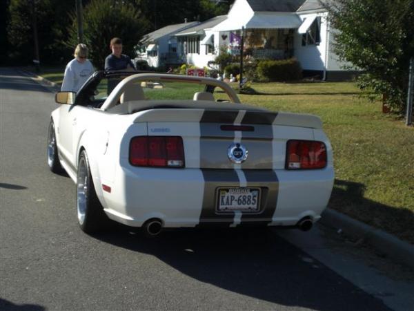 brads stang 009