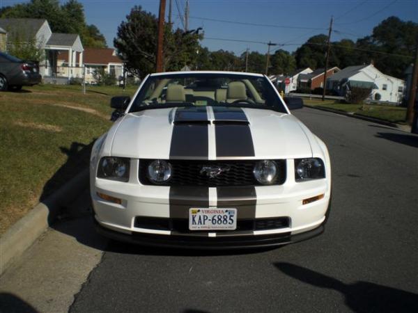 brads stang 010
