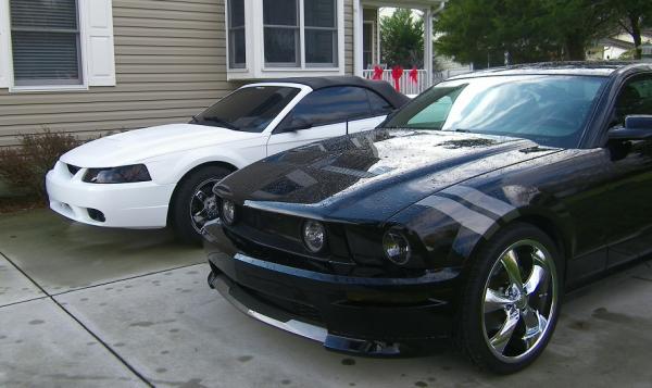 Caoimhe and Steve's Cobra.