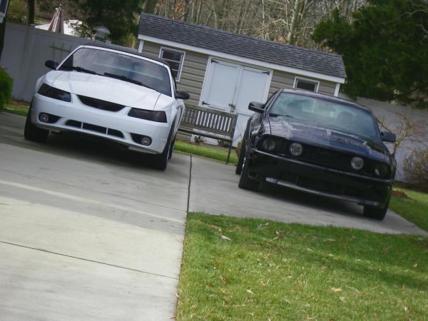 Caoimhe and Steve's Cobra.