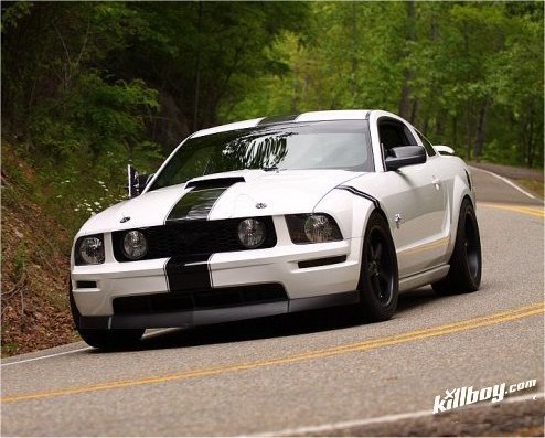 Dragon 2011 #2