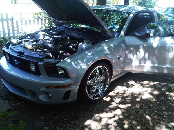 E Mustang