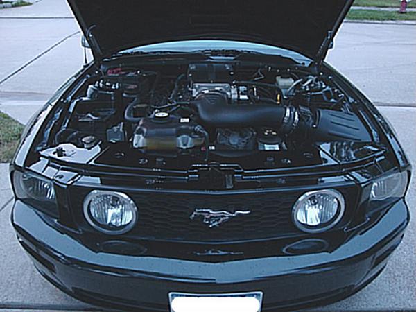 Engine Bay