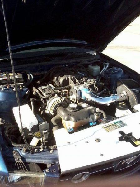 Engine Bay