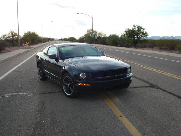First pictures after bringing her back from Cali
