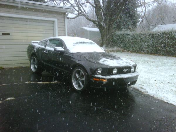 Fluke Thanksgiving 2010 snow
