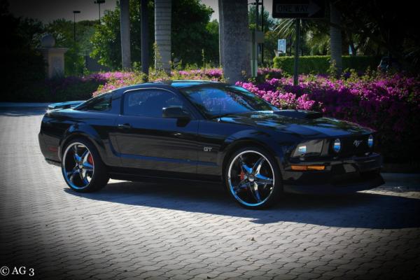 FORIST'S MUSTANG (1024x683)
