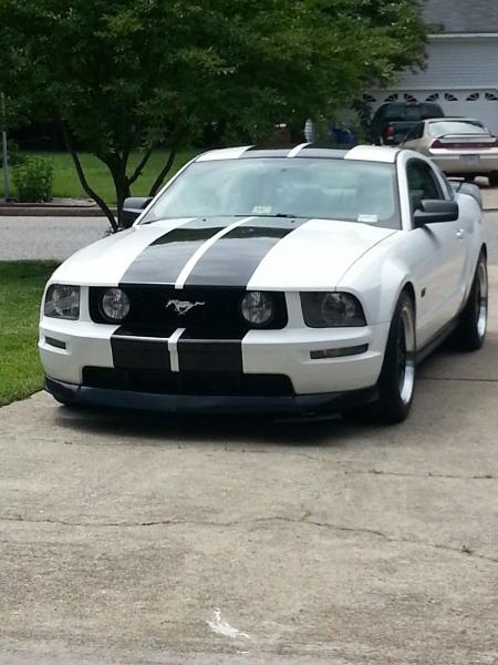 Fresh Wax