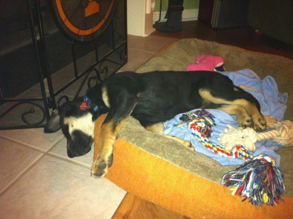 frisco crashed
