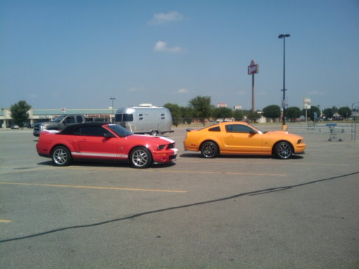 JUST GOT A GOOD PIC AT WAL-MART
