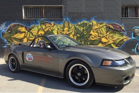 LAMustang.com mascot - 2001 Mustang GT/Cobra with 2003 Cobra Terminator 500 RWHP