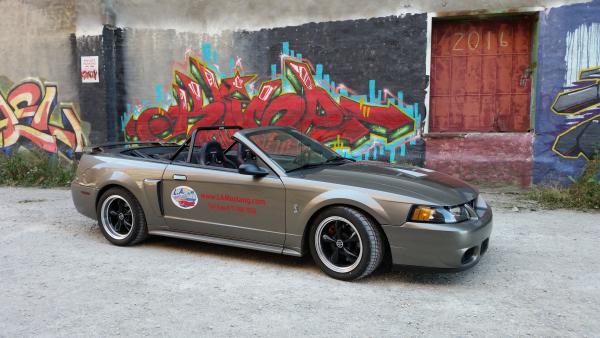 LAMustang.com mascot - 2001 Mustang GT/Cobra with 2003 Cobra Terminator 500 RWHP