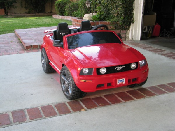 Mini Stang