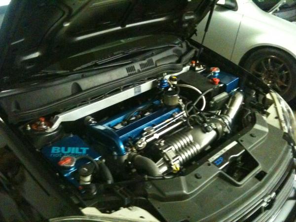 More Pics