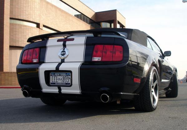 MoStang Rear Right