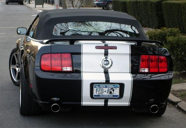 MoStang Rear
