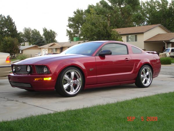 Mustang 001