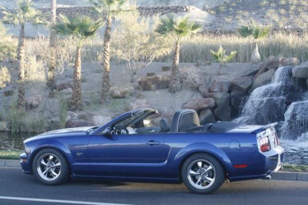 Mustang 001