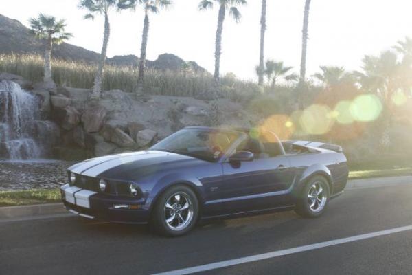 Mustang 004