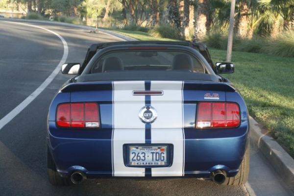 Mustang 006