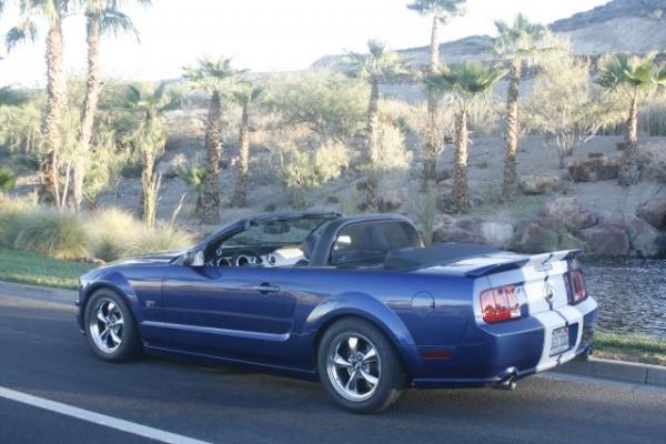 Mustang 007