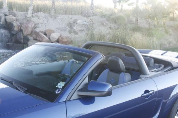 Mustang 008