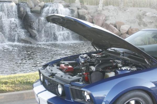 Mustang 010