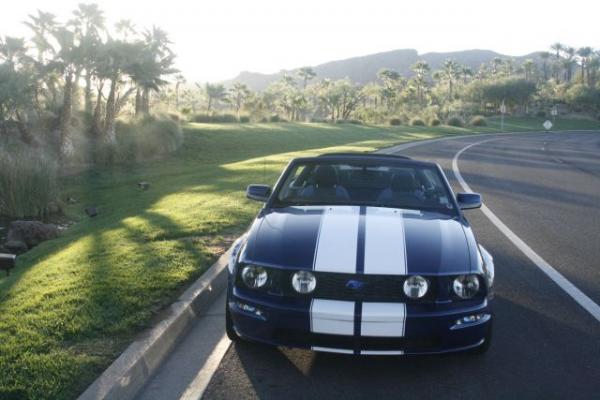 Mustang 012