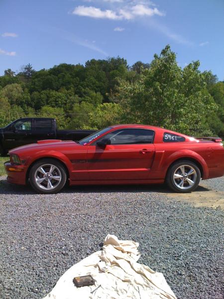 mustang 137