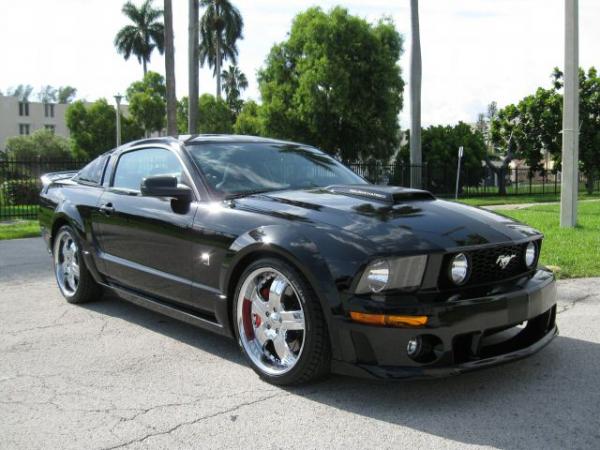 mustang #2