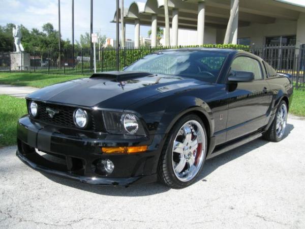 mustang #4