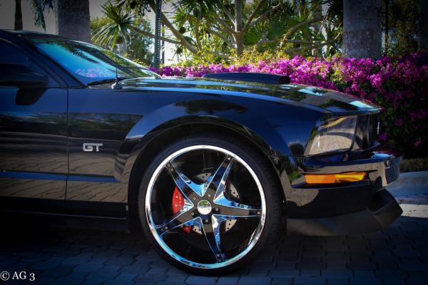 MUSTANG GT CHIN SPOILER, CROSS DRILLED ROTORS, MGP BRAKE COVER PLATES.