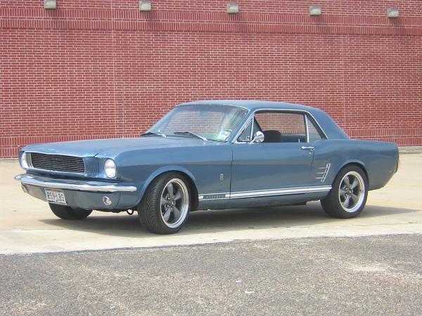 mustang posing
