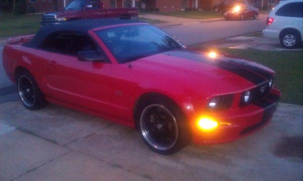 mustang