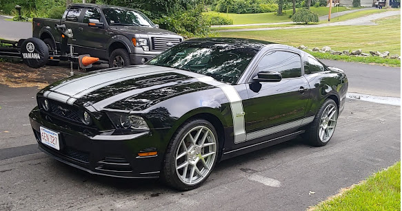 Mustang
