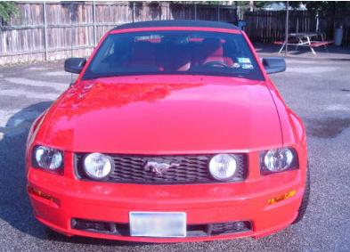 mustang2