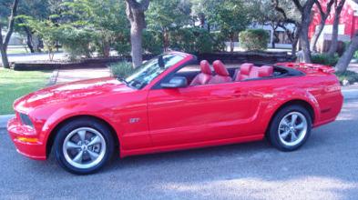 mustang3