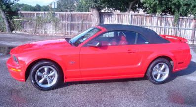 mustang4