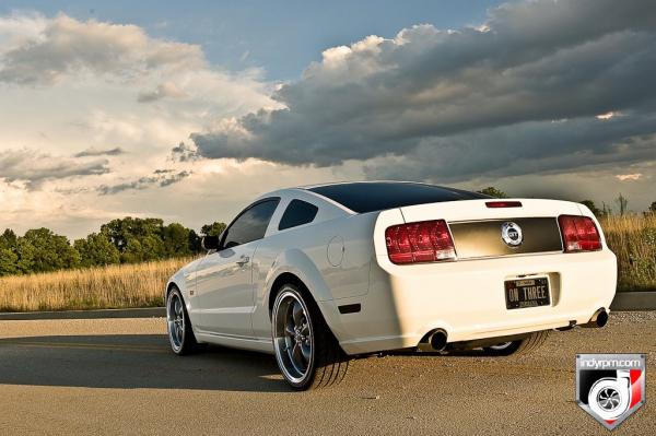 Mustangnobubbles