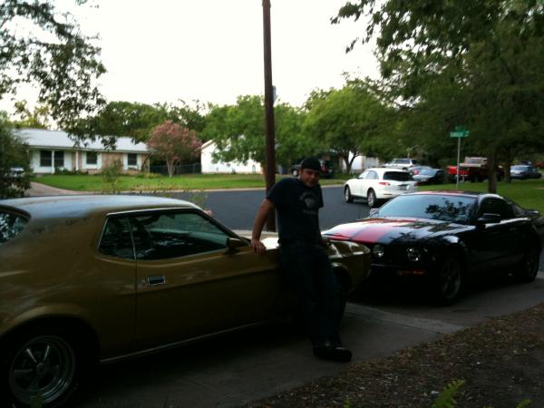 My Mustangs.