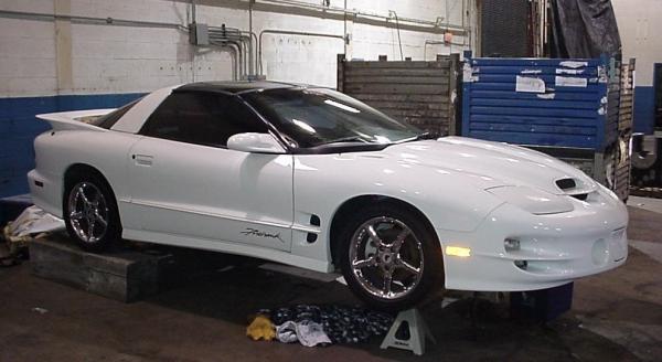 my old hawk