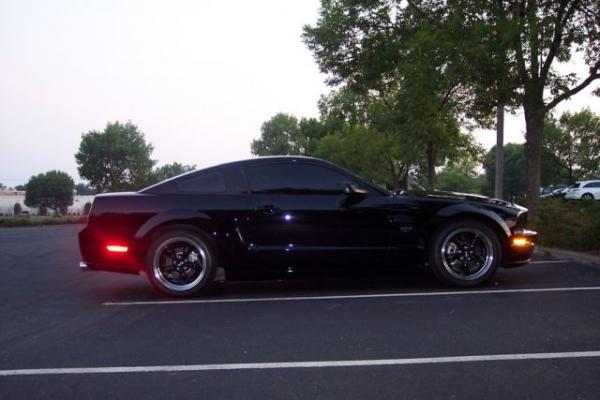 no wing small