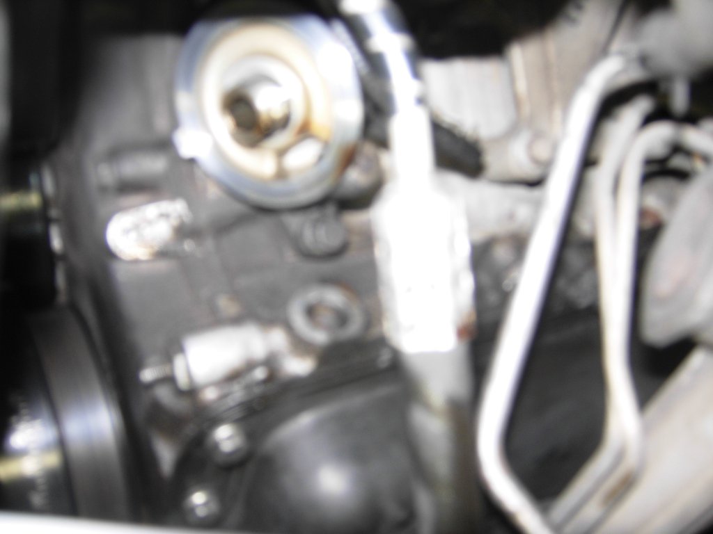 Oil Filter Adapter Light & Fuzzy
