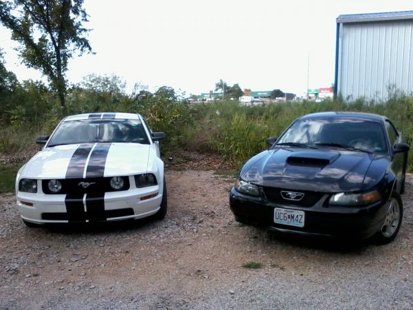 Ponies