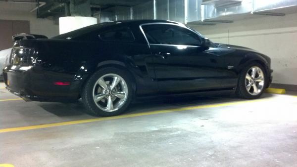 sittin 1" Lower. eibach prokit
