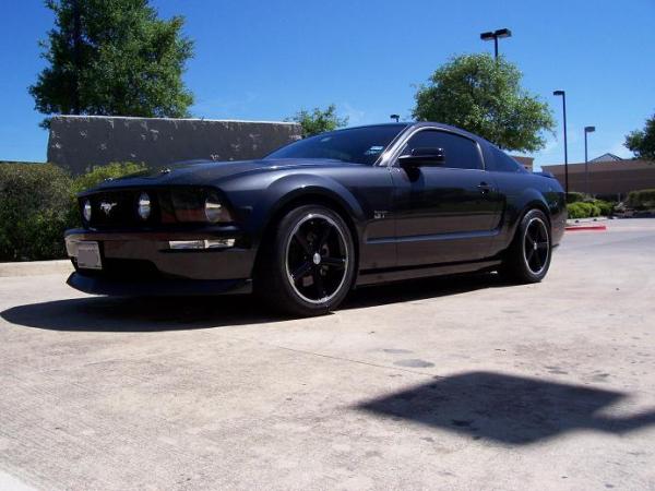stang front